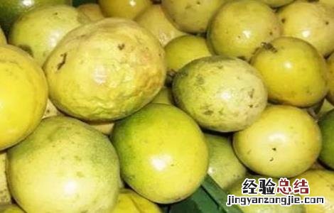 黄金百香果管理要点和方法 黄金百香果管理要点