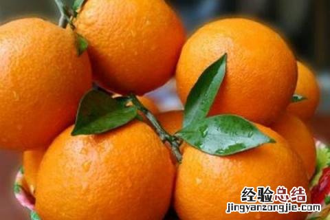 脐橙和纽荷尔的区别 纽荷尔脐橙的优点和缺点