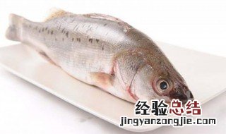鲈鱼的家常做法简单 鲈鱼简单的家庭做法教程