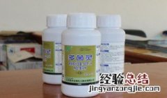 喷多菌灵后要喷清水吗 喷多菌灵注意什么?