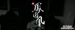 凤囚凰刘子业第几集复活 电视剧里凤囚凰刘子业最后出场在第几集