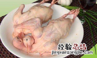 孕妇吃鸽子的功效与作用 吃鸽子的功效与作用