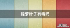 绿萝叶子有毒吗 鸟吃绿萝叶子有毒吗
