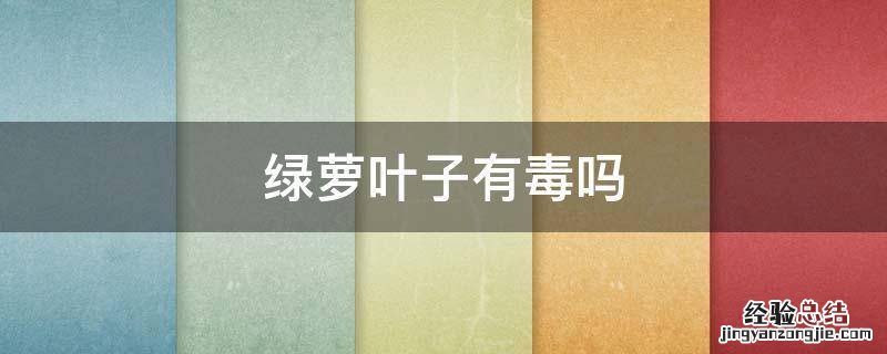 绿萝叶子有毒吗 鸟吃绿萝叶子有毒吗