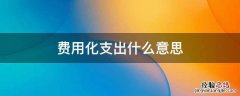成本费用化是什么意思 费用化支出什么意思