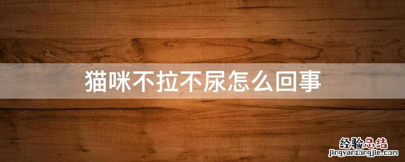 猫咪不拉不尿怎么回事 猫咪一整天不拉不尿正常么