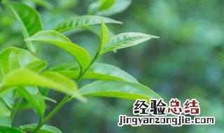 什么颜色对眼睛好 桌面什么颜色对眼睛好
