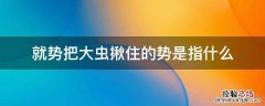 就势把大虫揪住的势是指什么用课文里的原句回答 就势把大虫揪住的势是指什么