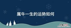 属相牛一生的运势 属牛一生的运势如何