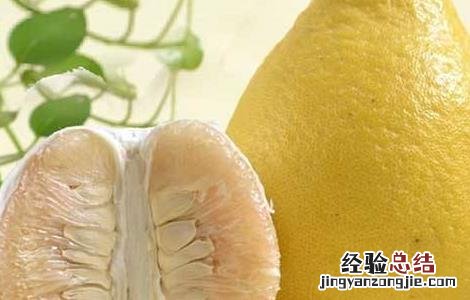 柚子种植哪些品种好养 柚子种植哪些品种好