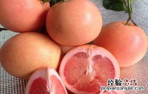 柚子种植哪些品种好养 柚子种植哪些品种好
