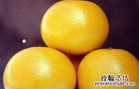 柚子种植哪些品种好养 柚子种植哪些品种好