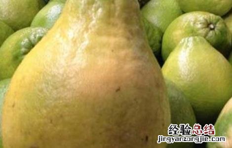 柚子种植哪些品种好养 柚子种植哪些品种好
