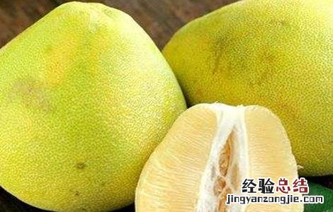 柚子种植哪些品种好养 柚子种植哪些品种好
