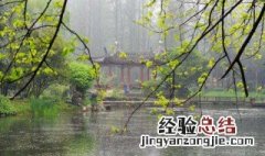 蒙蒙什么成语 蒙蒙什么成语四个字