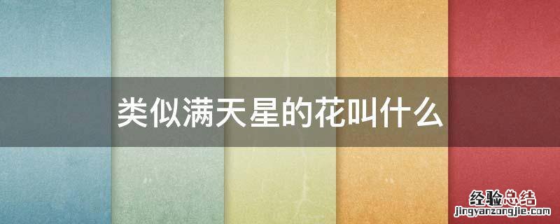 很像满天星的一种花 类似满天星的花叫什么