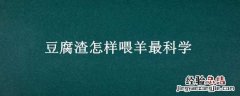 豆腐渣怎样喂羊最科学 豆腐渣怎样喂羊最科学的方法