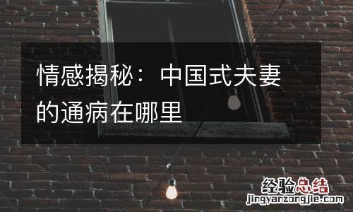 情感揭秘：中国式夫妻的通病在哪里