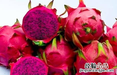 红心火龙果的种植方法和时间 红心火龙果的种植方法