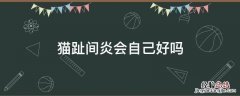 猫咪趾间炎会自愈吗 猫趾间炎会自己好吗