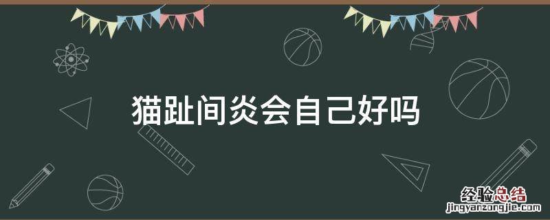 猫咪趾间炎会自愈吗 猫趾间炎会自己好吗