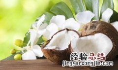 椰子坏了怎么判断真假 椰子坏了怎么判断