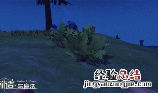 创造与魔法杂草在哪里 创造与魔法杂草在哪多