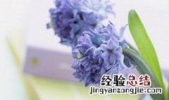 朗朗乾坤的意思 朗朗乾坤的意思和造句