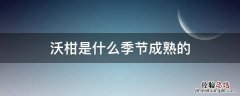 沃柑是什么季节成熟的 沃柑是在什么季节成熟的