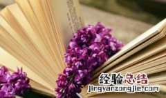 吴带当风意思称赞的是 吴带当风的意思
