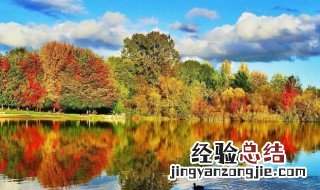 什么华什么实成语三年级 什么华什么实成语