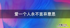 爱一个人永不言弃意思 永不言弃在感情里的意思