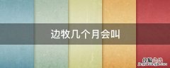 边牧几个月才会叫 边牧几个月会叫