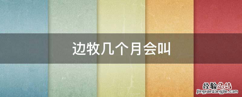 边牧几个月才会叫 边牧几个月会叫