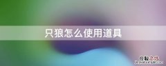 只狼怎么使用道具 只狼怎样使用道具
