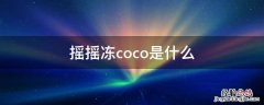 摇摇冻coco是什么 摇摇冻coco是什么做的