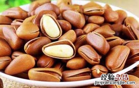 松子的种植方法 松子的种植方法和技术
