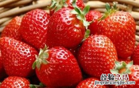 适合秋季种植的水果以及种植环境 适合秋季种植的水果