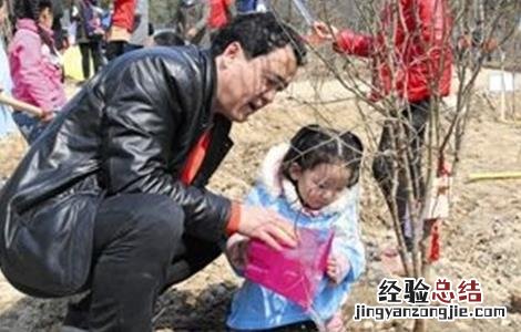 石榴树秋冬季管理要点是什么 石榴树秋冬季管理要点