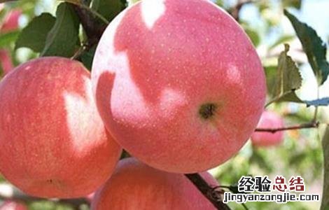 苹果着色不良的原因及解决方法 苹果不着色怎么办