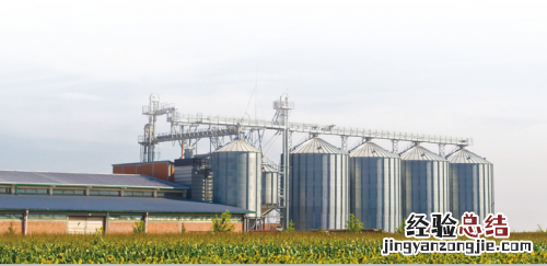 世纪品牌麦克维尔助建粮食安全长城