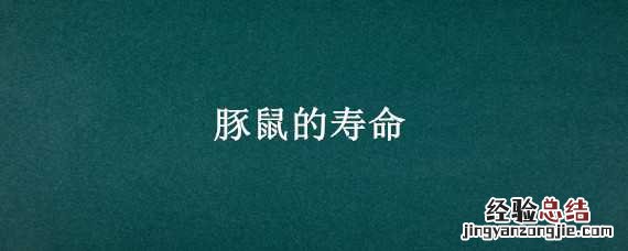 豚鼠的寿命 豚鼠的寿命最长能活多少年