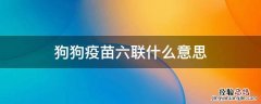 狗狗疫苗六联什么意思 狗的疫苗六联