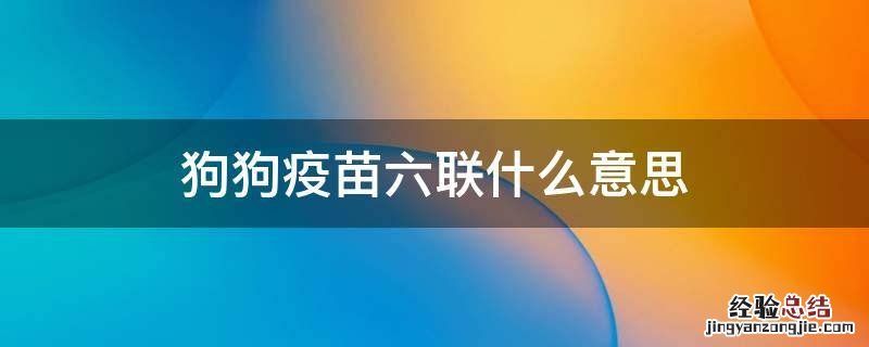 狗狗疫苗六联什么意思 狗的疫苗六联