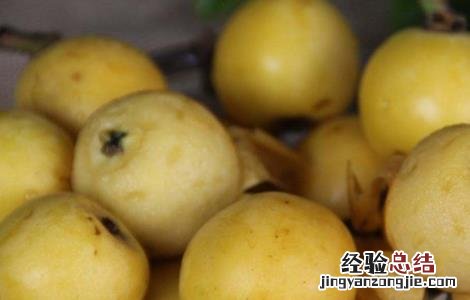 枇杷裂果的防治措施有哪些 枇杷裂果的防治措施