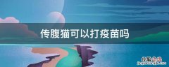 打疫苗可以避免猫传腹吗 传腹猫可以打疫苗吗