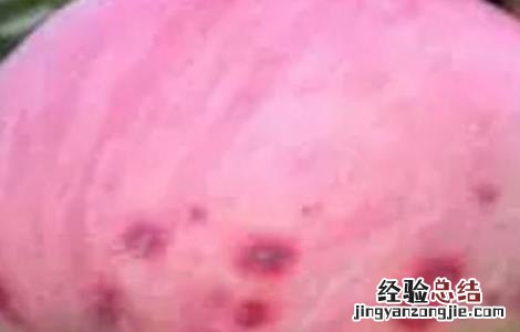 苹果烂果病怎样防治 苹果烂果的原因及防治方法