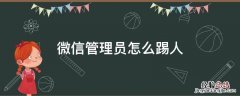 微信管理员怎么踢人苹果 微信管理员怎么踢人