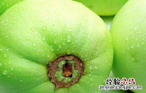 甜瓜产生畸形果的原因及防治方法 甜瓜瓜胎畸形果的防治