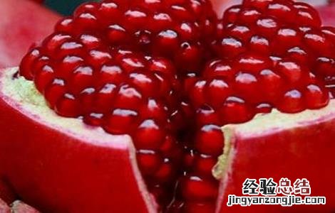 石榴常见种植品种 石榴常见种植品种图片